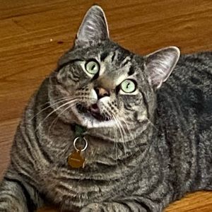 Meet your Posher, Beth